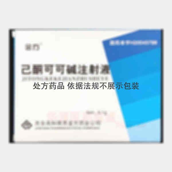 优选 己酮可可碱注射液