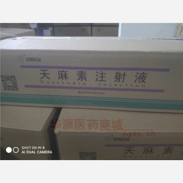 优选 天麻素注射液