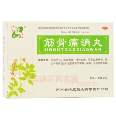 筋骨痛消丸 6g*12袋 河南省洛正药业有限责任公司