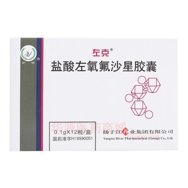 优选 盐酸左氧氟沙星胶