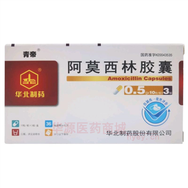 优选 阿莫西林胶囊