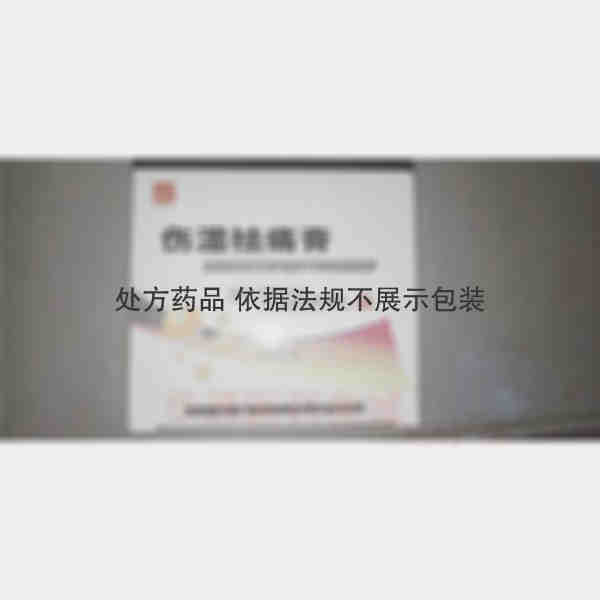 优选 伤湿祛痛膏(微孔