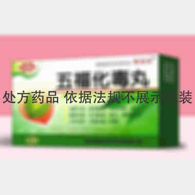 五福化毒丸 2g*9袋 吉林省银诺克药业有限公司