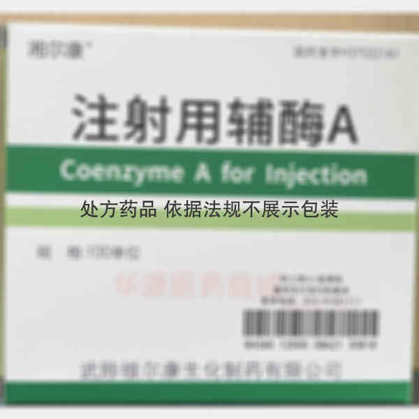 优选 注射用辅酶A