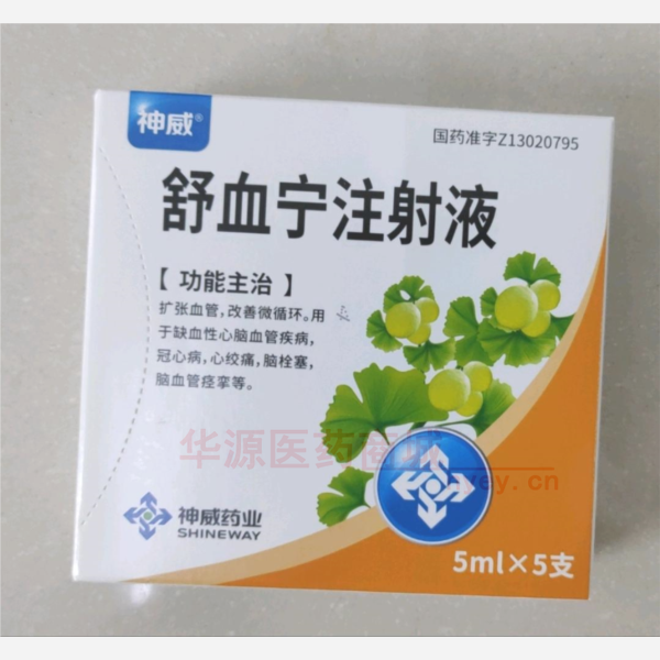 优选 舒血宁注射液