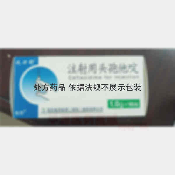优选 注射用头孢他啶