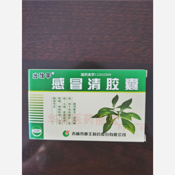 优选 感冒清胶囊
