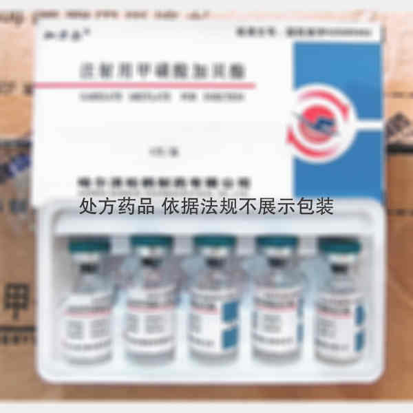 优选 注射用甲磺酸加贝