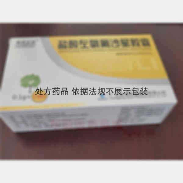 优选 盐酸左氧氟沙星胶