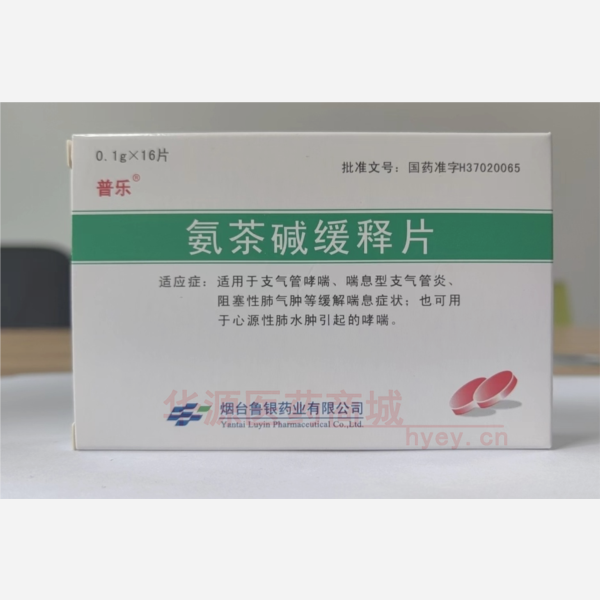 优选 氨茶碱缓释片