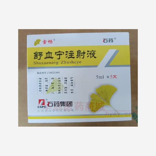 优选 舒血宁注射液