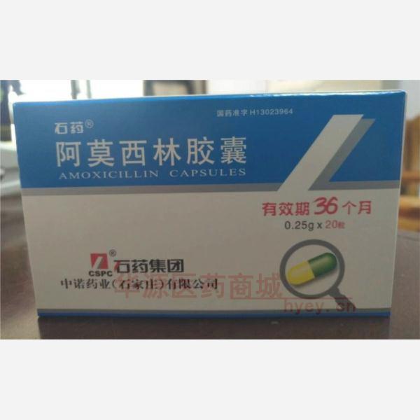 优选 阿莫西林胶囊
