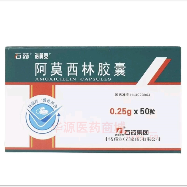 优选 阿莫西林胶囊