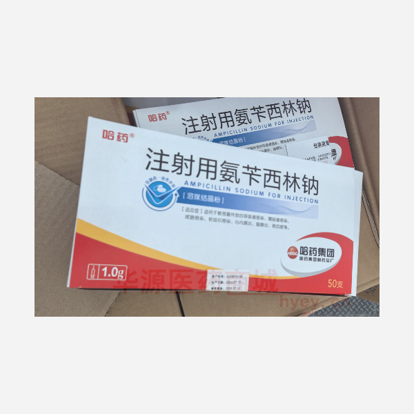优选 注射用氨苄西林钠