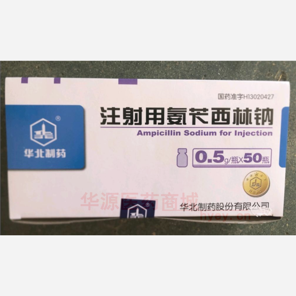 优选 注射用氨苄西林钠