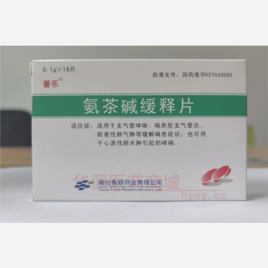 优选 氨茶碱缓释片