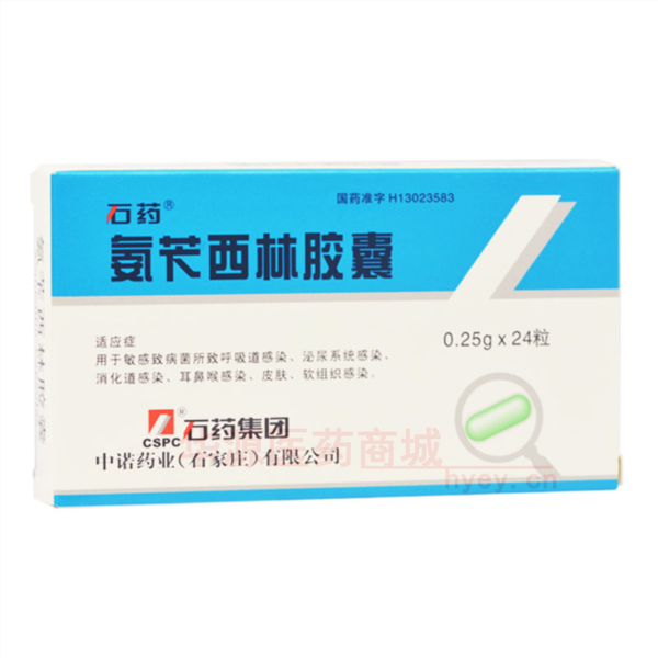 优选 氨苄西林胶囊