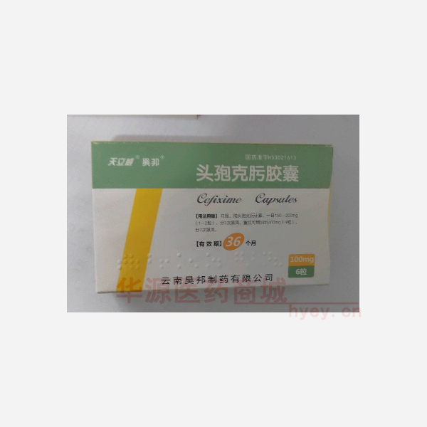 优选 头孢克肟胶囊