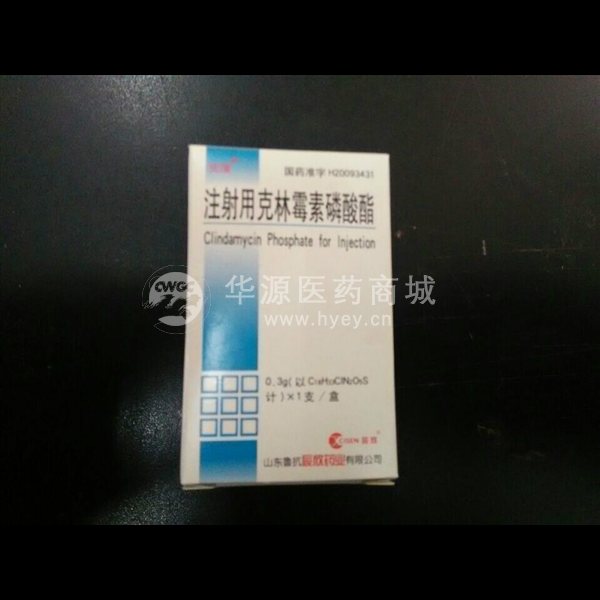 优选 注射用克林霉素磷
