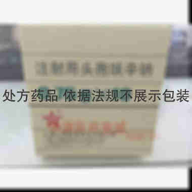 优选 注射用头孢呋辛钠