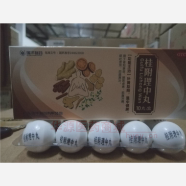 桂附理中丸（大蜜 9g*10丸 广东瑞洋制药有限公司