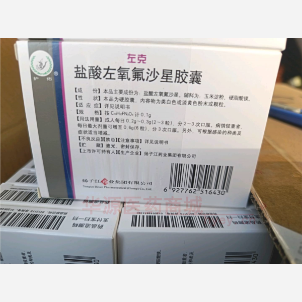 优选 盐酸左氧氟沙星胶