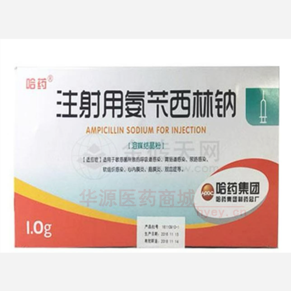 优选 注射用氨苄西林钠