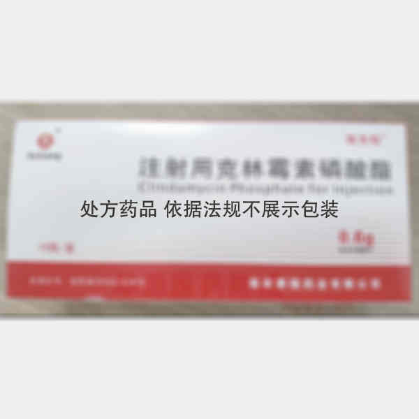优选 注射用克林霉素磷
