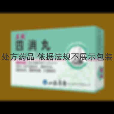 四消丸 6g*6袋 山西华康药业股份有限公司