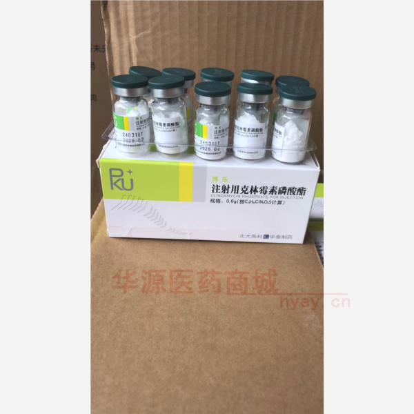 优选 注射用克林霉素磷
