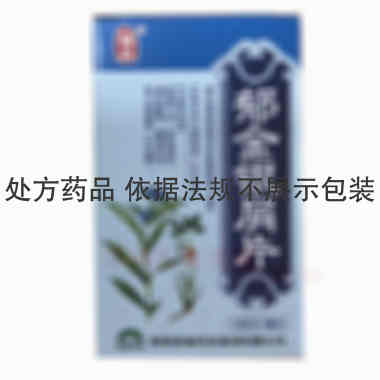 郁金银屑片 0.24g*100s 陕西香菊药业集团有限公司