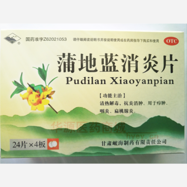 优选 蒲地蓝消炎片