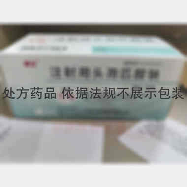 注射用头孢匹胺钠 0.5g*10支 山东鲁抗医药股份有限公司