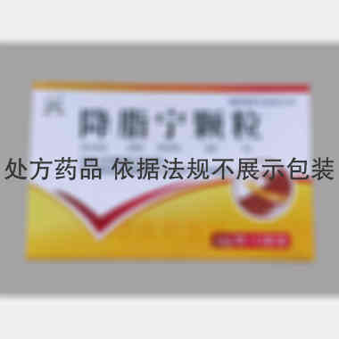 降脂宁颗粒 10g*13袋 吉林省华侨药业集团有限公司
