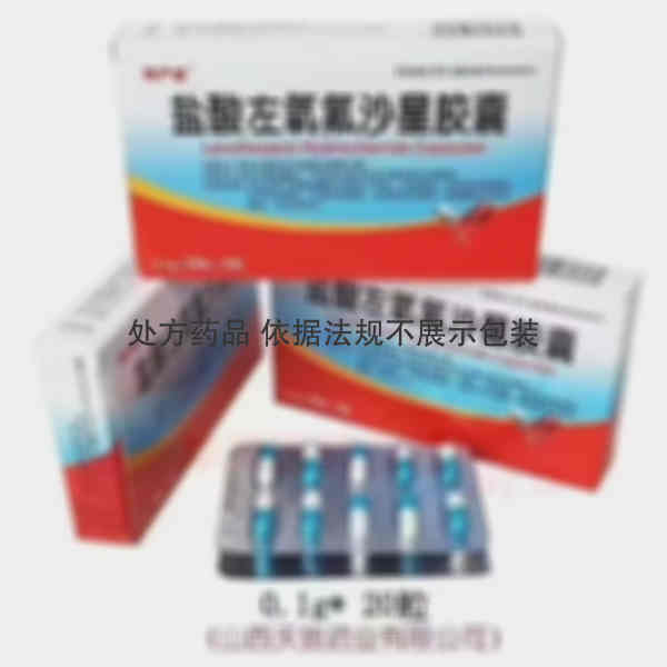 优选 盐酸左氧氟沙星胶