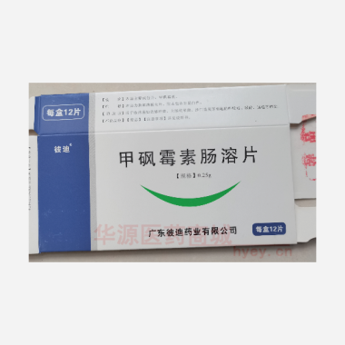 优选 甲砜霉素肠溶片