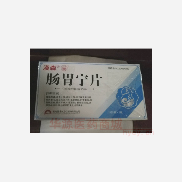 优选 肠胃宁片