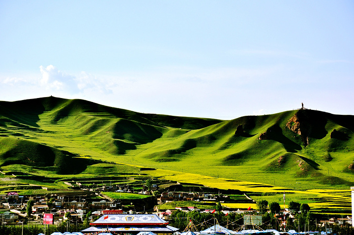 长白山 理气舒心片