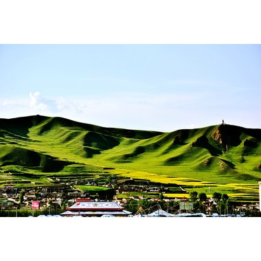 长白山 理气舒心片