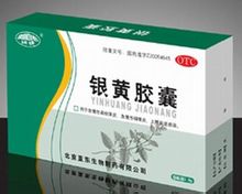 健发 银黄胶囊