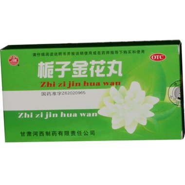 丹龙 栀子金花丸 9gx6袋/盒 颈复康药业集团赤峰丹龙药业有限公司