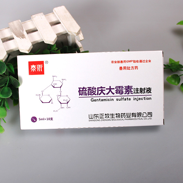 贯新克 复方维生素B12溶液