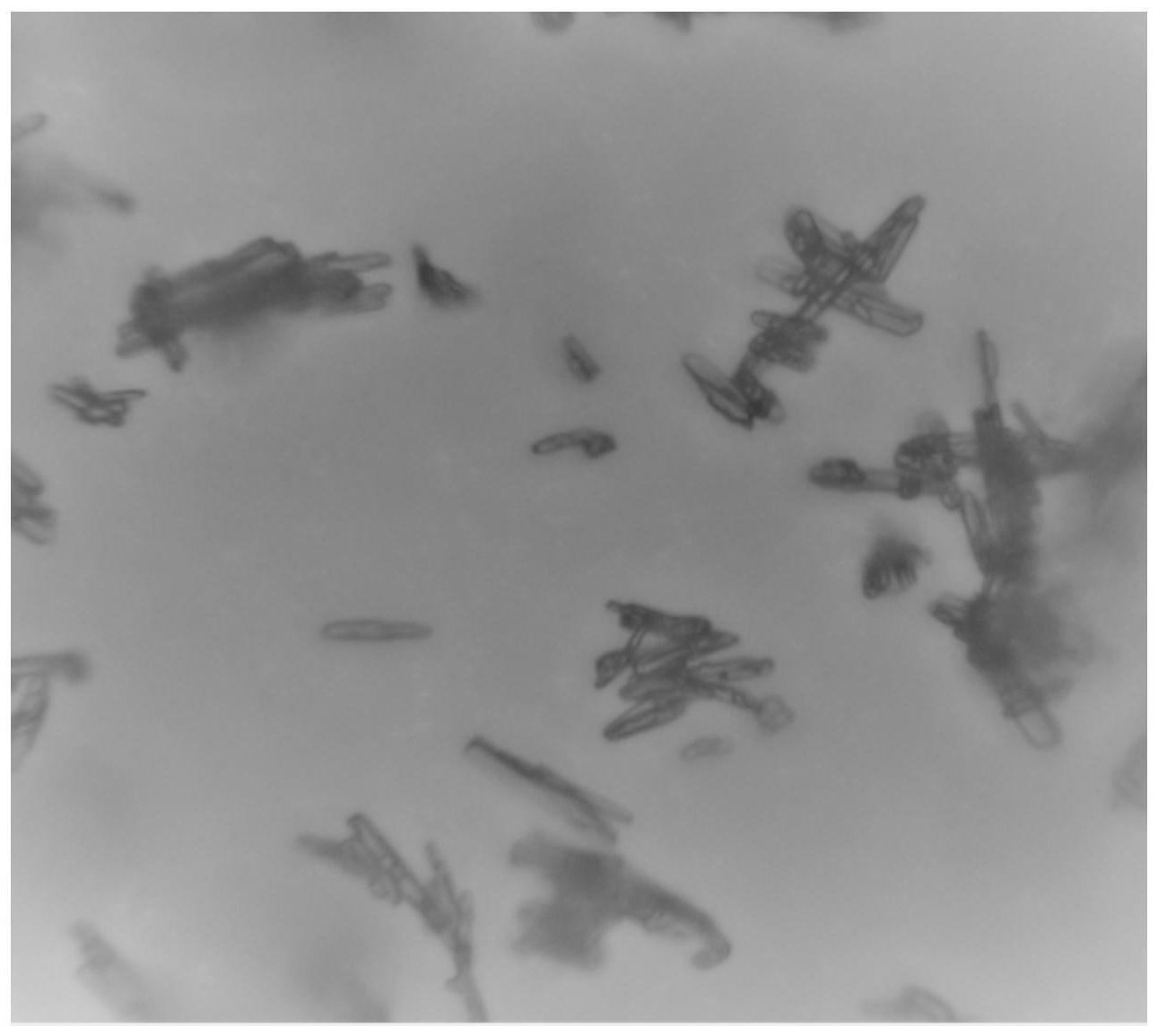 奥为仙 盐酸伊托必利片