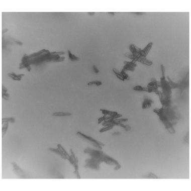 奥为仙 盐酸伊托必利片