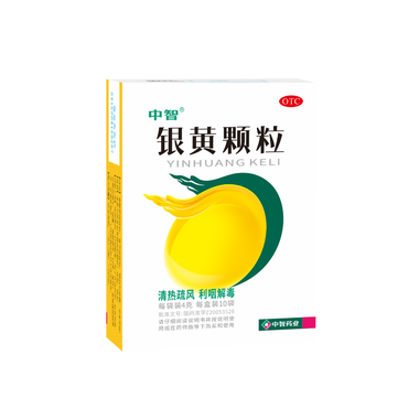一片天 银黄颗粒 4g×10 广东一片天医药集团制药有限公司