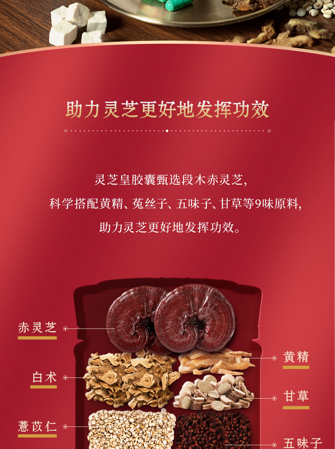 山东凤凰 灵芝胶囊