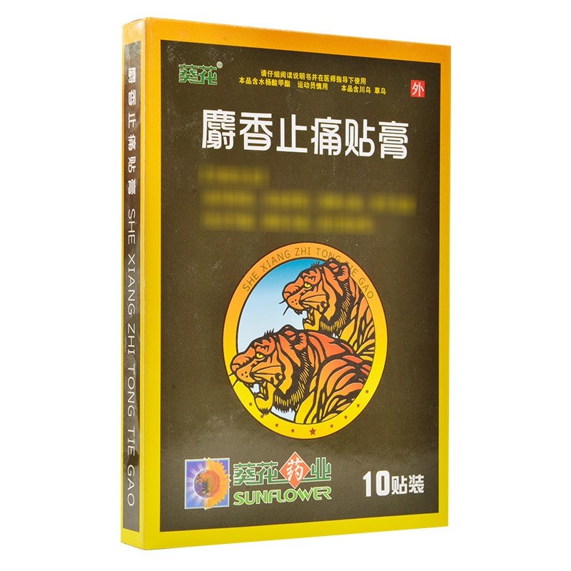 药邦 麝香关节止痛膏