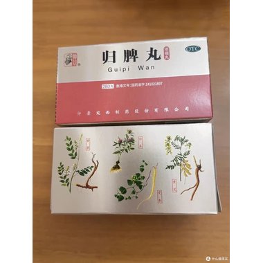 立效 归脾丸 9克×10丸 山西华康药业股份有限公司