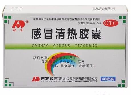 延年 胜红清热胶囊