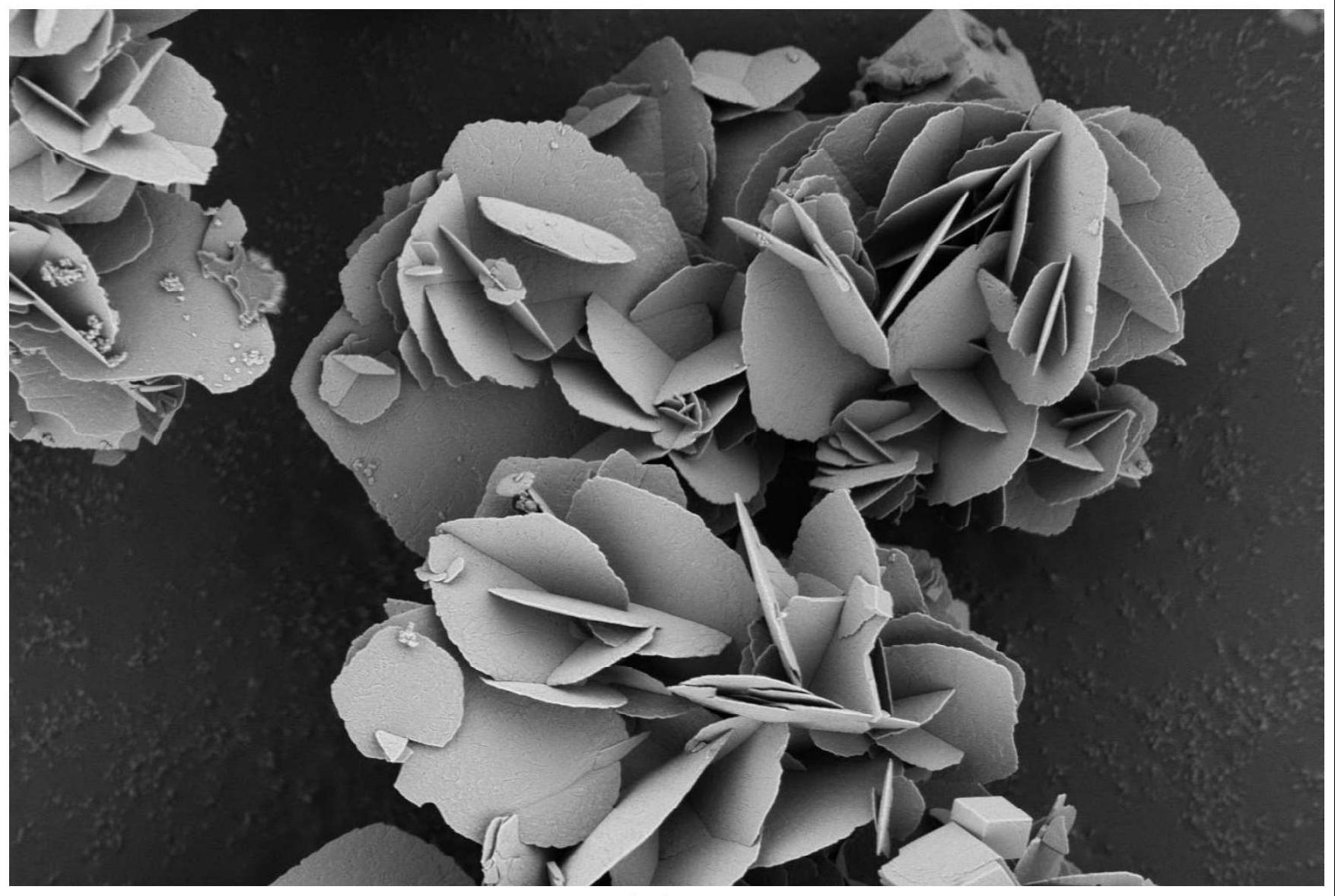 千里明 碳酸钙胶囊